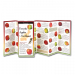 Favorite Apples of the Northeast